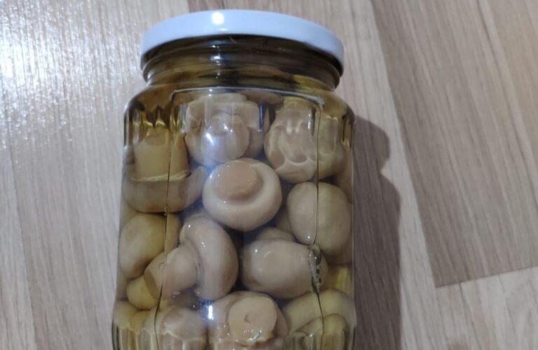 whatsapp image 2026 02 16 at 00.45.15 (3)