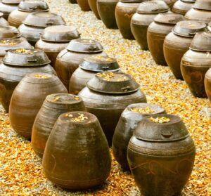 hoseung han d7pkmmeqn5g unsplash